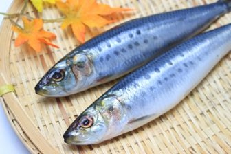 青魚