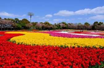 なばなの里の花ひろば