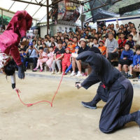 伊賀流忍者博物館の忍者ショー