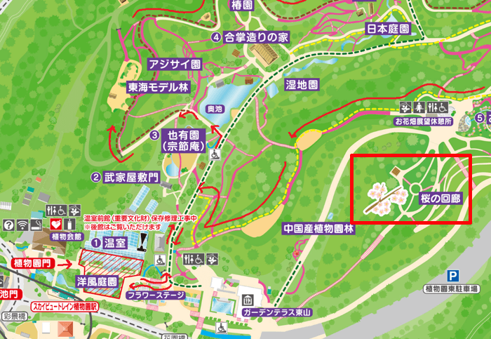 東山動植物園の桜の回廊の地図