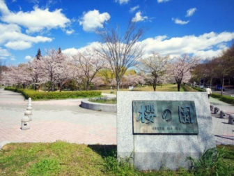 平和公園の桜の園