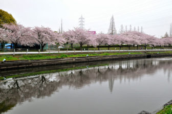 荒子川公園
