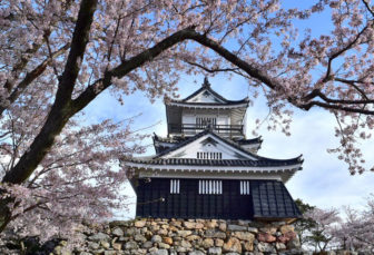 浜松城公園の桜まつり