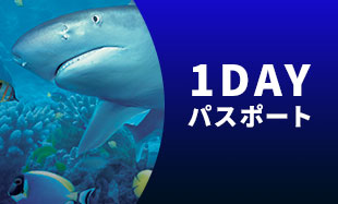 シーライフ名古屋の1DAYパスポート