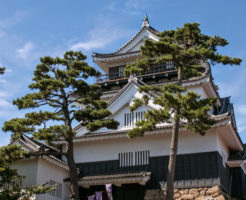 岡崎城の天守閣