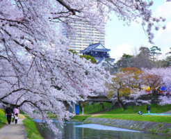 岡崎公園と岡崎城