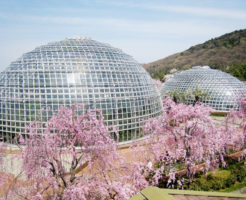 東谷山フルーツパーク