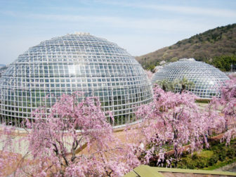 東谷山フルーツパーク