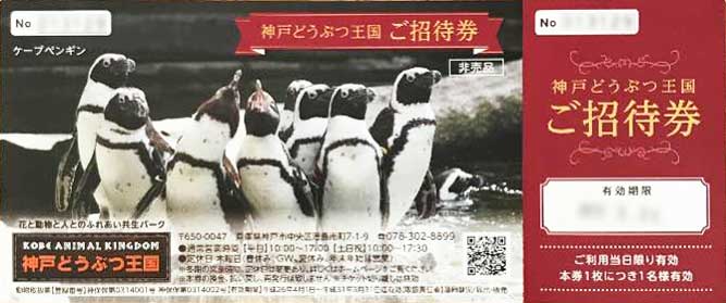 神戸どうぶつ王国の招待券