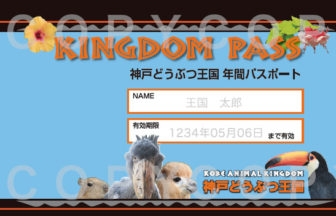 キングダムパス