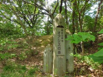 相生山緑地「オアシスの森」01