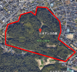 相生山緑地「オアシスの森」