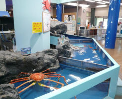 竹島水族館