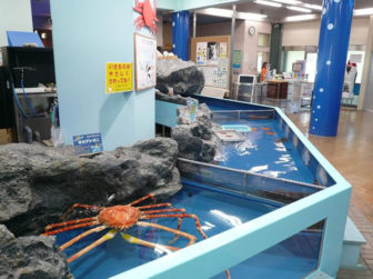 竹島水族館