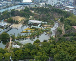 白鳥庭園