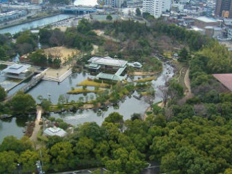 白鳥庭園