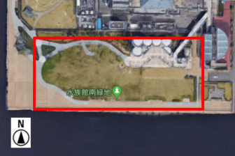 上から見た水族館南側緑地