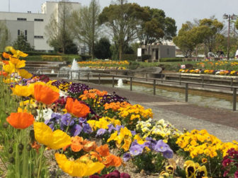 荒子川公園