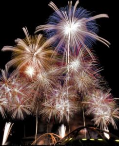 豊田おいでん祭り花火大会の花火