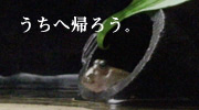 09-うちへ帰ろう