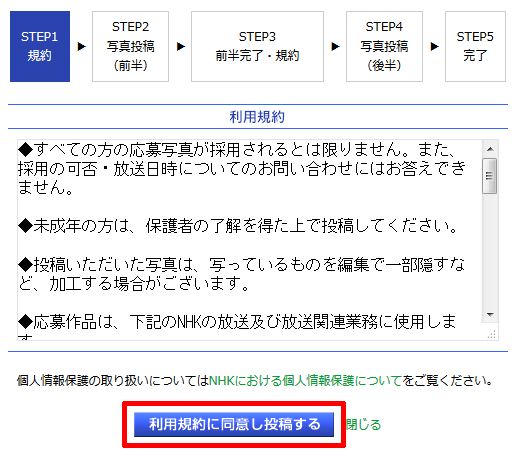 228-02-「ねこのうた」の「利用規約に同意し投稿する」