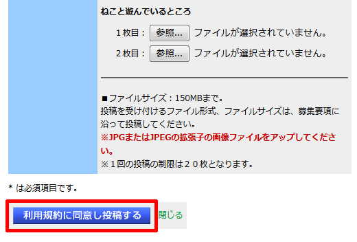 228-05-「ねこのうた」の「利用規約に同意し投稿する」