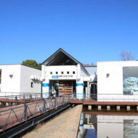 相模川ふれあい科学館(アクアリウムさがみはら)