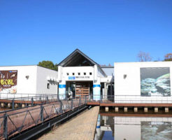 相模川ふれあい科学館(アクアリウムさがみはら)