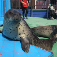 伊勢シーパラダイス