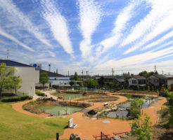 碧南海浜水族館のビオトープエリア