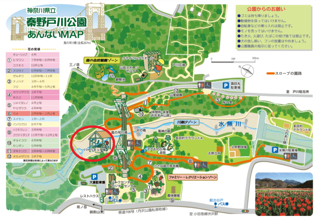 秦野戸川公園案内マップ
