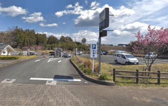 秦野戸川公園水無川駐車場１