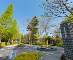 保土ヶ谷公園