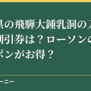 岐阜県の飛騨大鍾乳洞の入場料金や割引券は？ローソンの割引クーポンがお得？