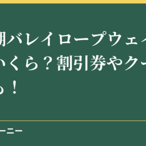 びわ湖バレイロープウェイの料金はいくら？割引券やクーポン情報も！