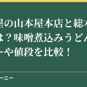 名古屋の山本屋本店と総本家の違いは？味噌煮込みうどんのメニューや値段を比較！