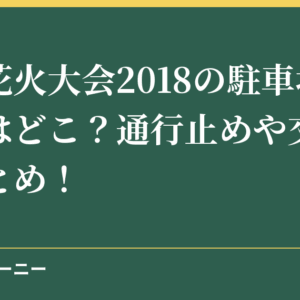岡崎花火大会2018の駐車場の場所はどこ？通行止めや交通規制まとめ！