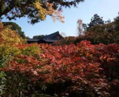 関西の紅葉2026｜11月の見頃と府県別おすすめ名所・ライトアップ