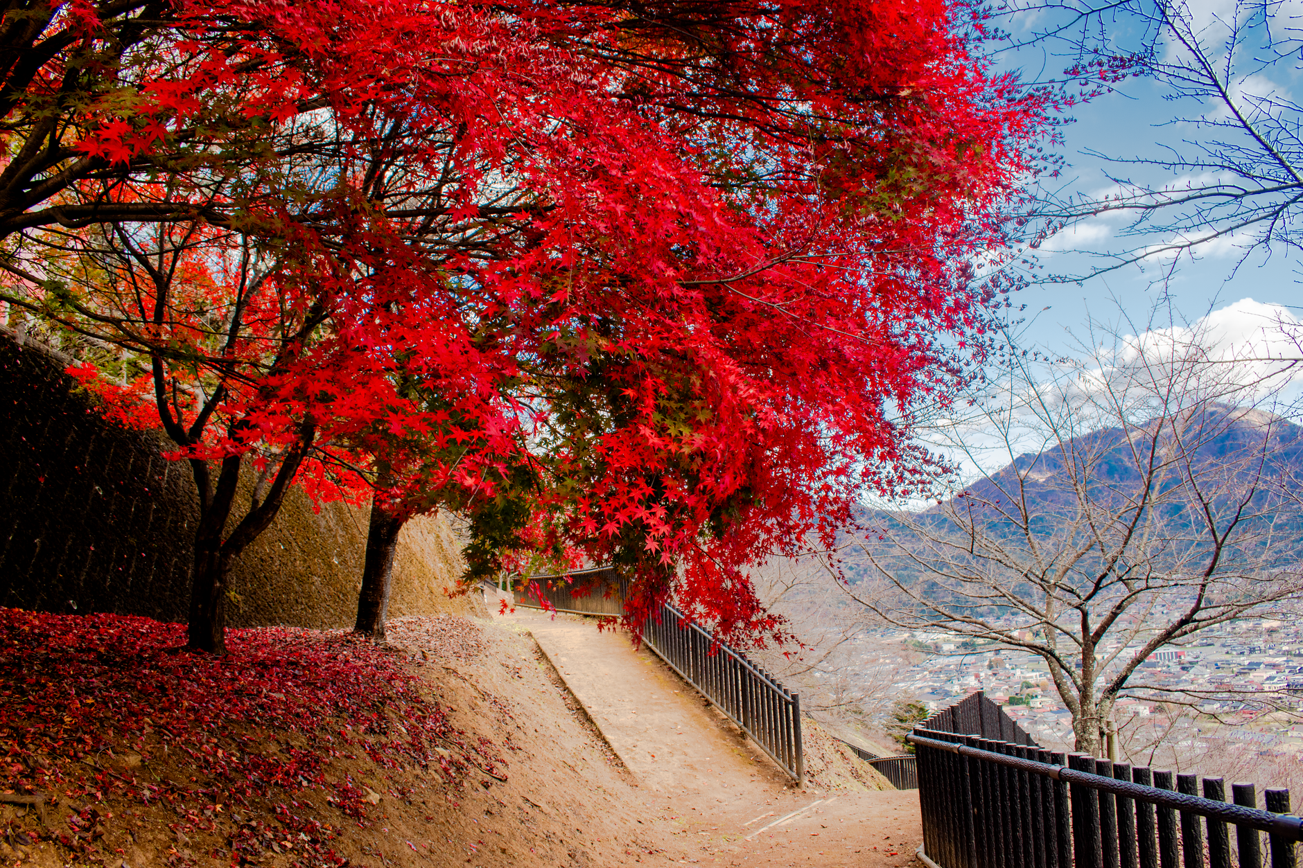 府県別|関西の紅葉おすすめ名所