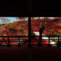 京都紅葉の名所14選｜エリア別に見どころと回り方をわかりやすく解説