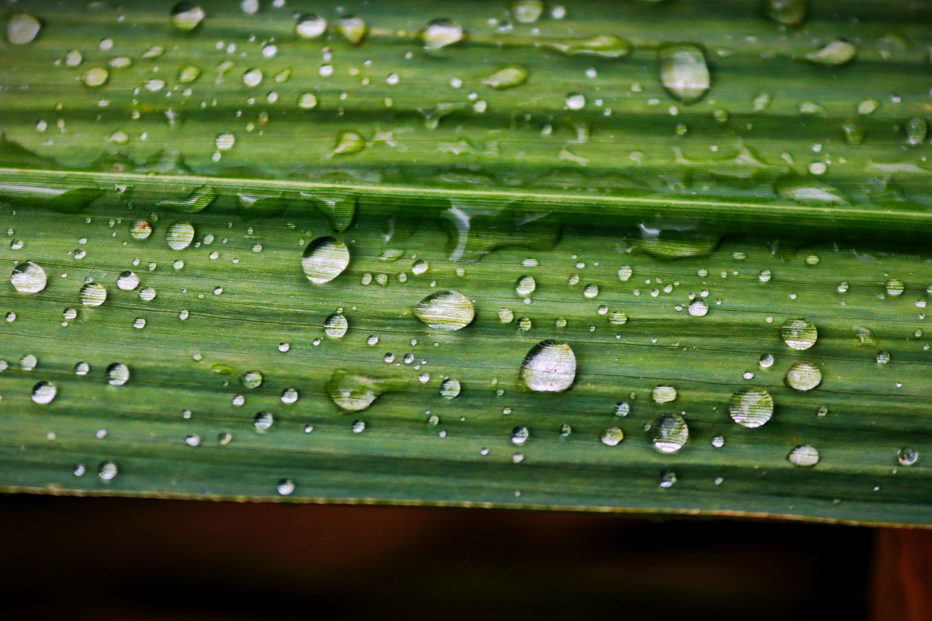 雨や雪の日も着られる？撥水・防水透湿の違いと注意点
