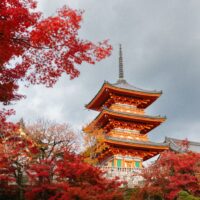 東福寺の紅葉2026｜見頃・混雑を避ける時間帯・拝観料とモデルコース